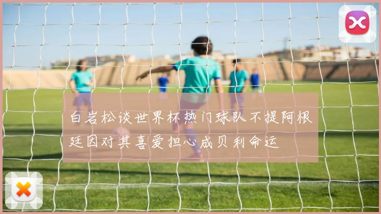 白岩松谈世界杯热门球队不提阿根廷因对其喜爱担心成贝利命运